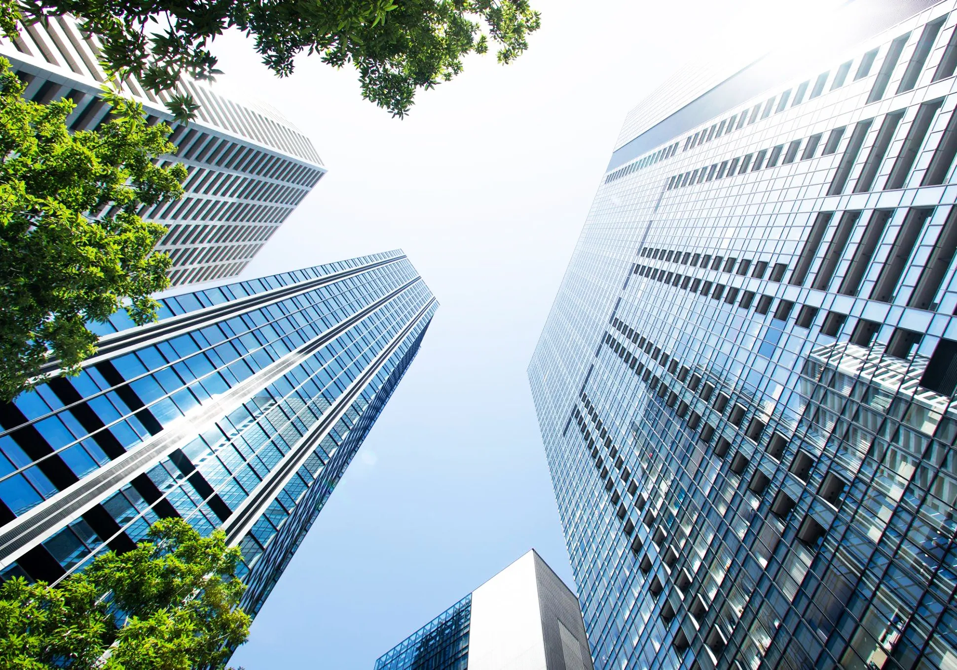 Sustainability Awards