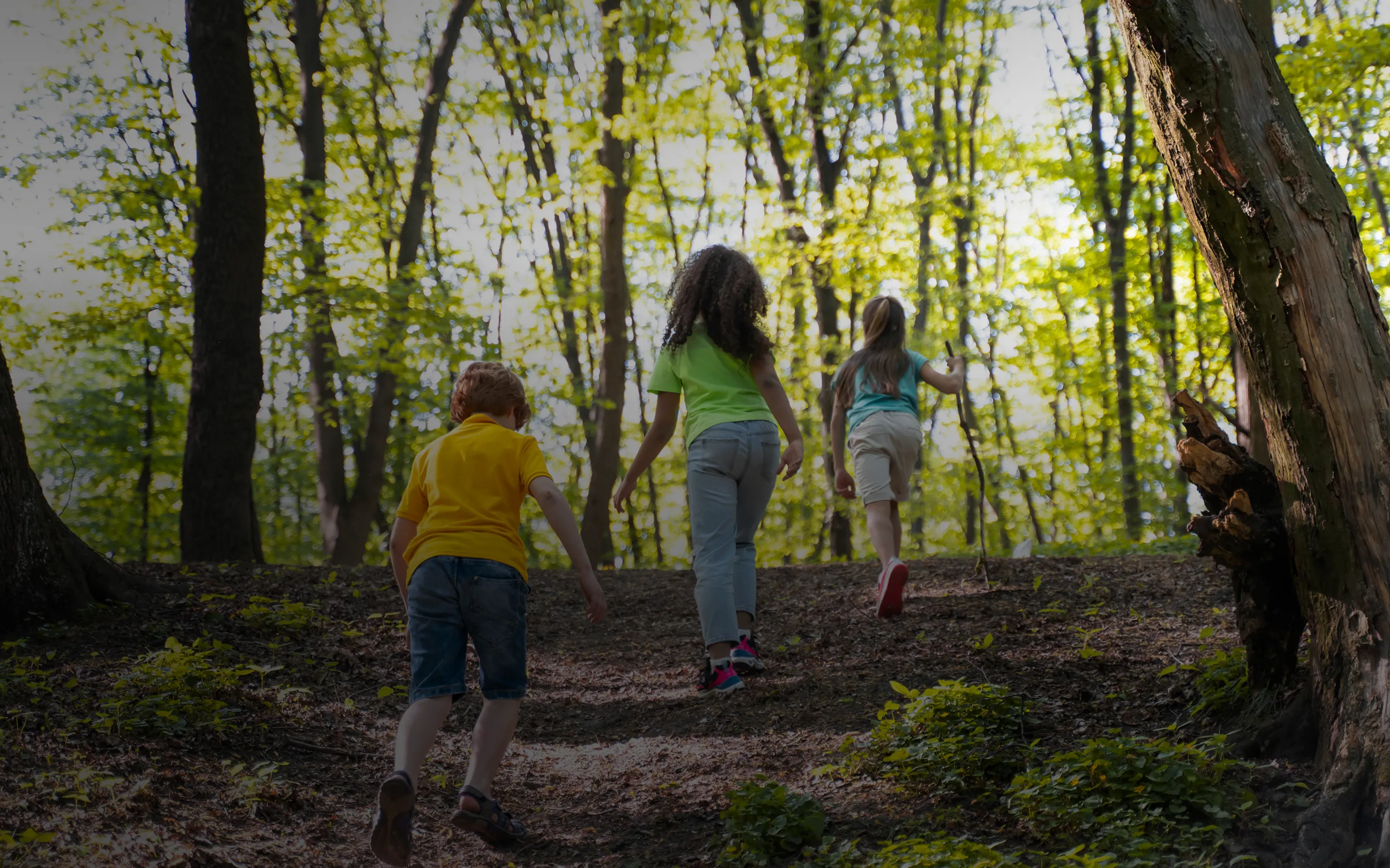 กิจกรรมด้านความยั่งยืน