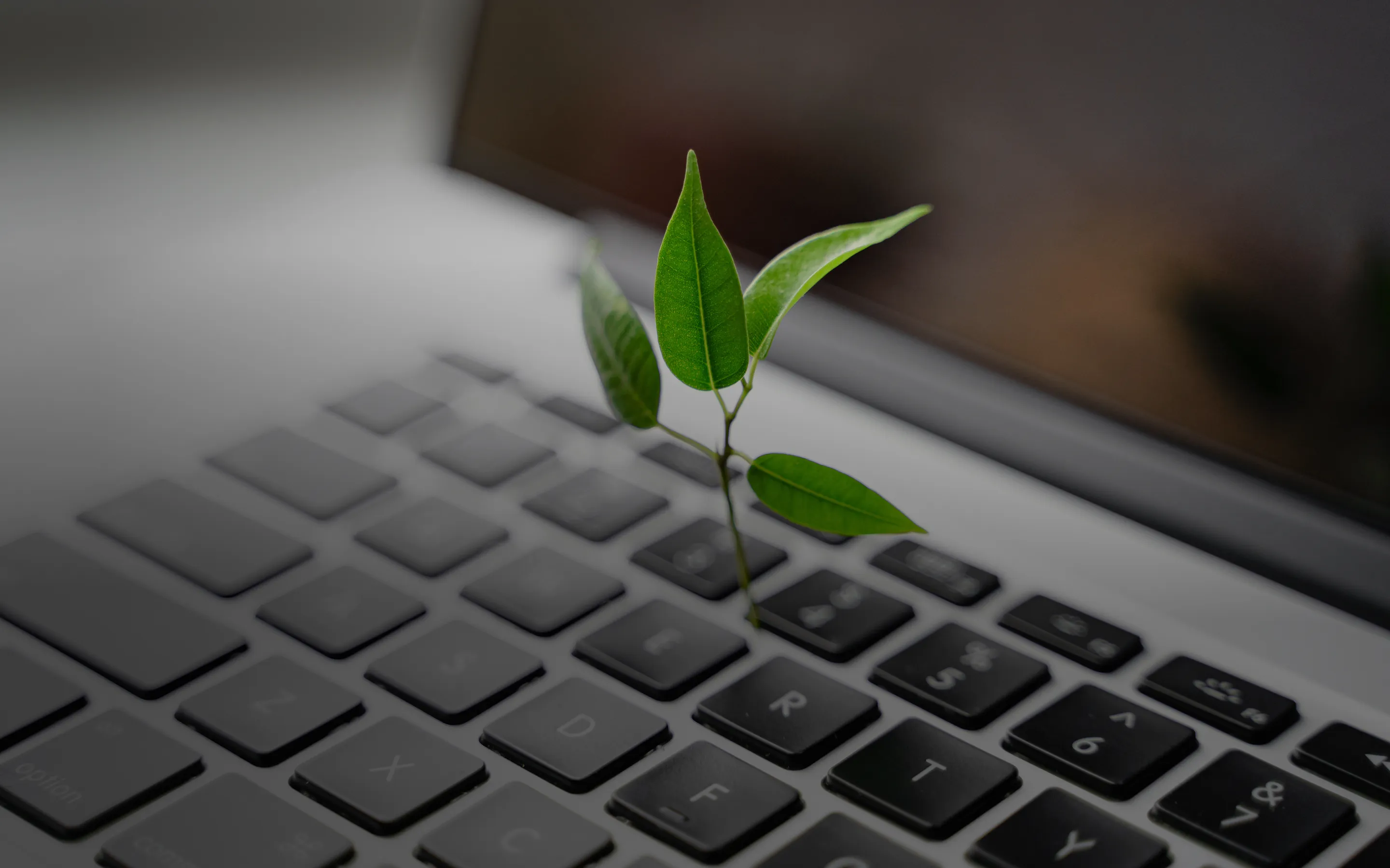 ESG Performance Data