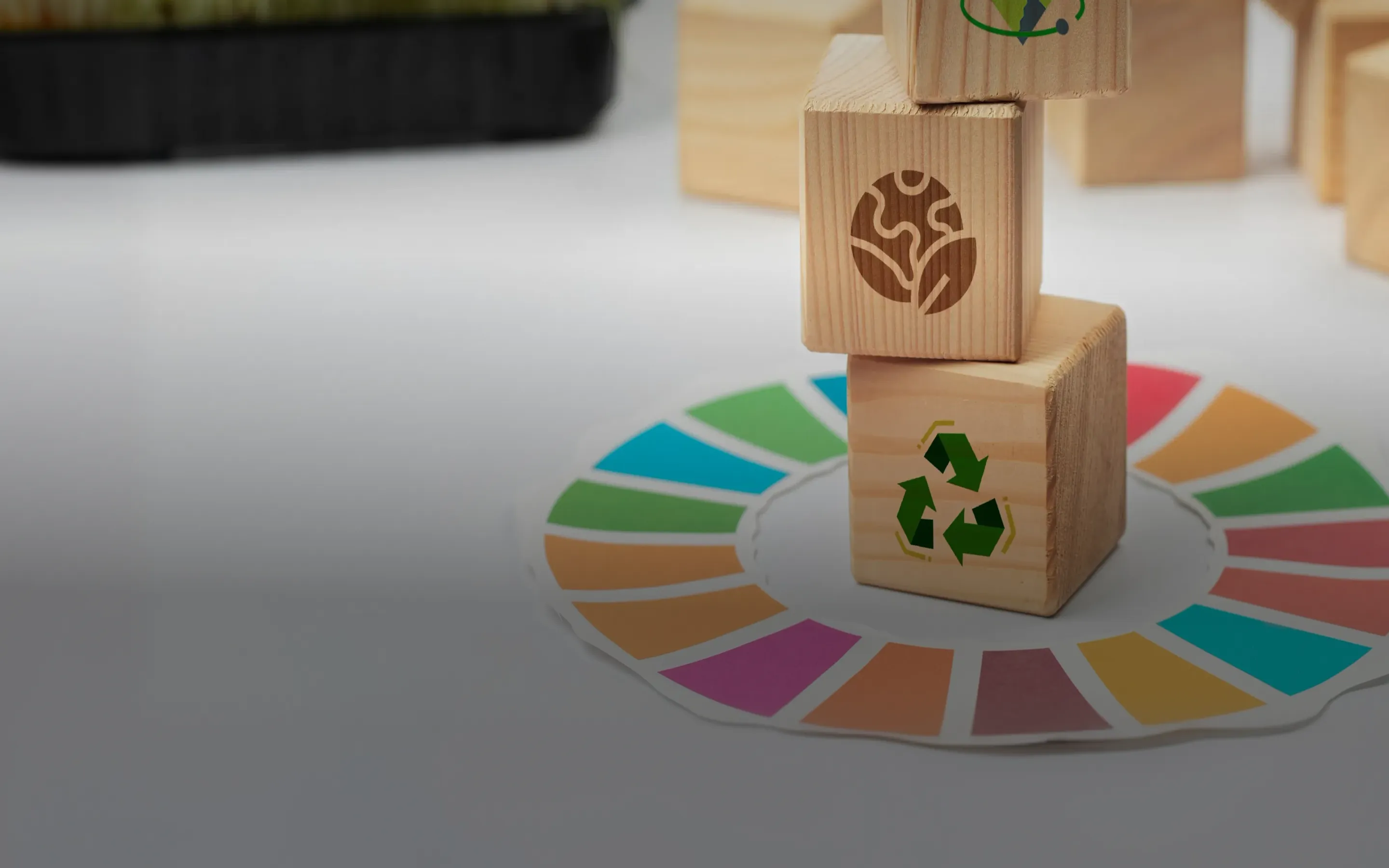 Supporting the UN Sustainable Development Goals (SDGs)