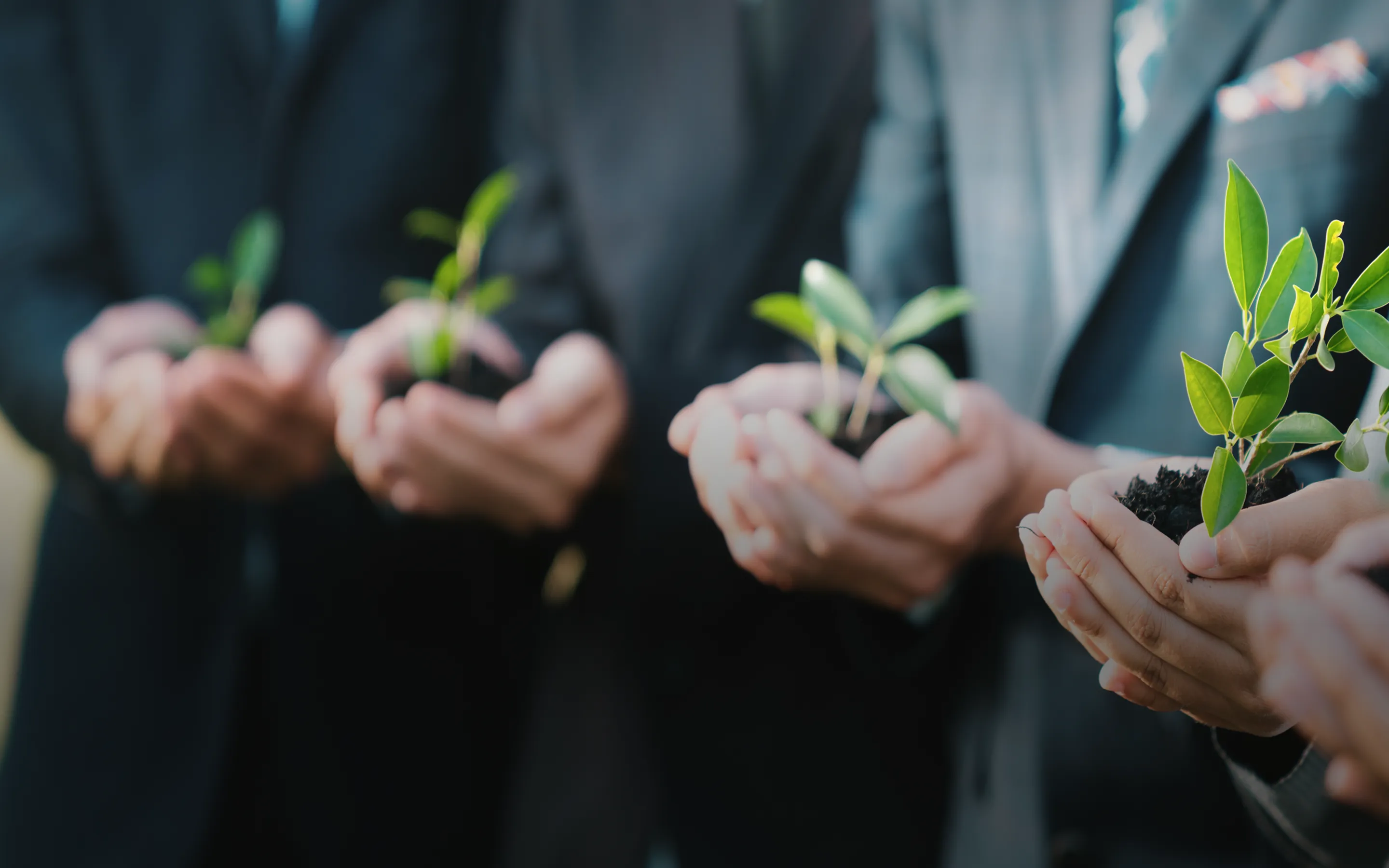 นโยบายด้านความยั่งยืน