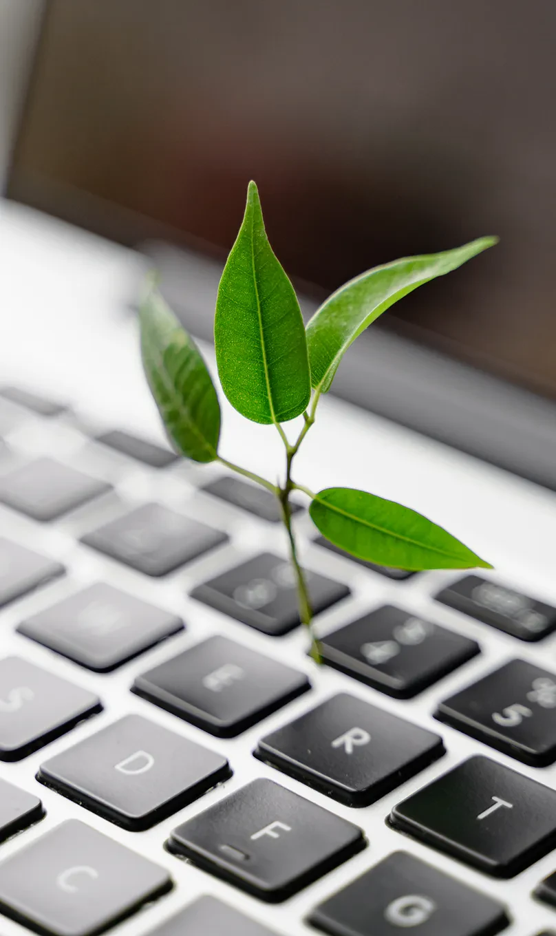 Reporting and Disclosure